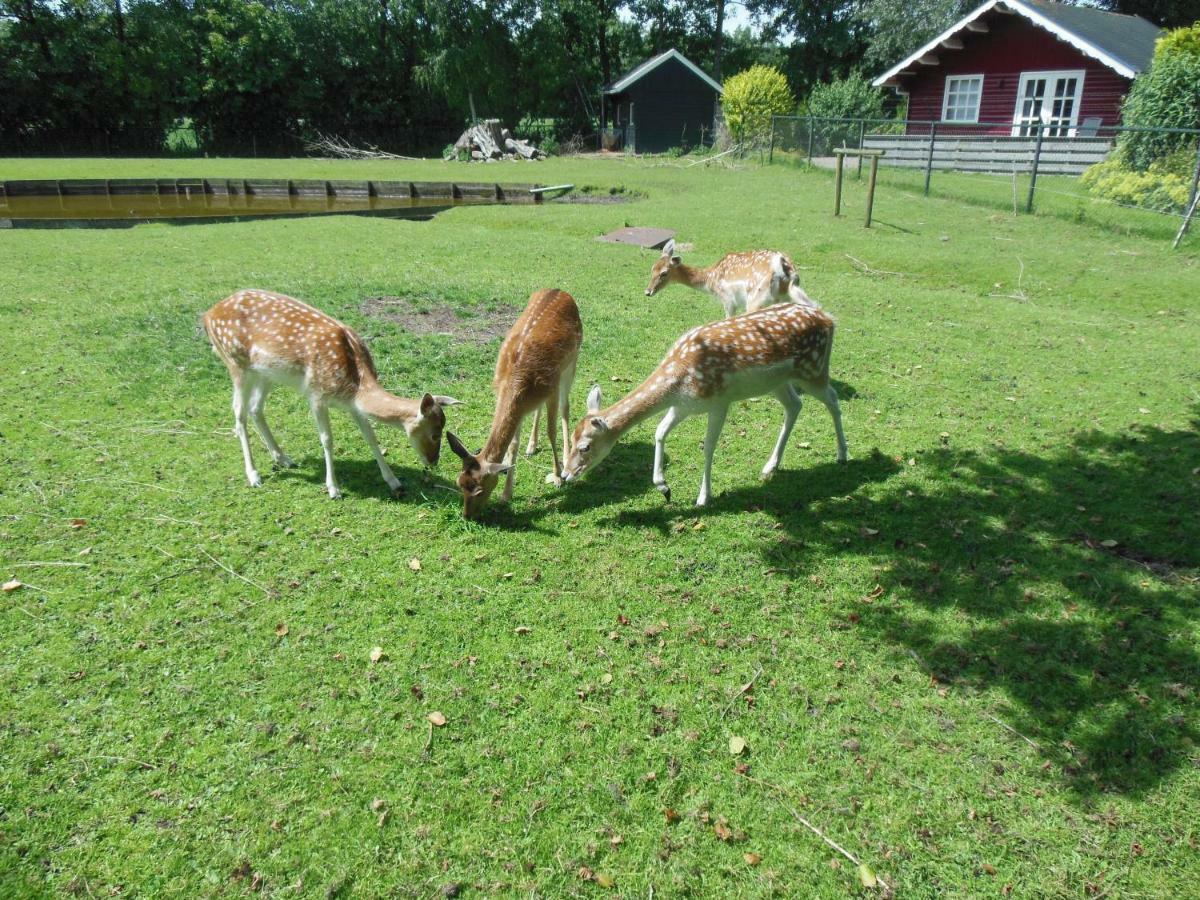 B&B Landgoed Sonneborghe Kollumerzwaag Экстерьер фото